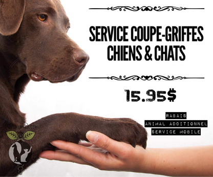 Atelier Coupe Griffes